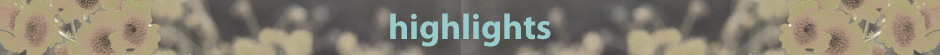 highlights